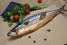 Скумбрия п/п б/г 1кг